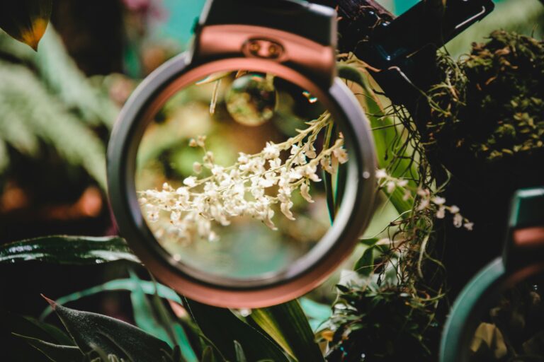 « Chérie, J&rsquo;ai Rétréci les Gosses » : La Surprenante Leçon de ce Film des Années 80 sur Notre Perception du Monde.